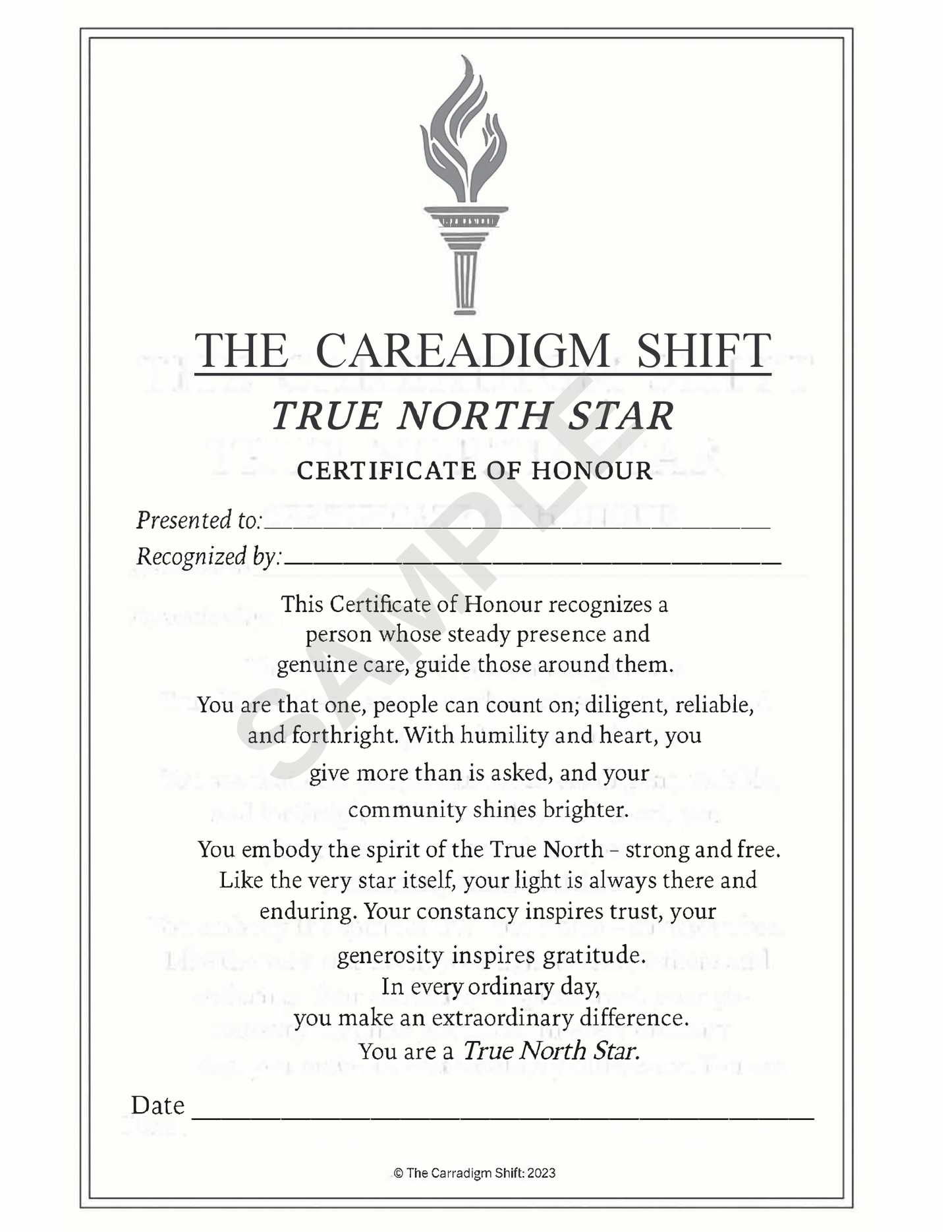 The Careadigm Shift-True North Star-Certificate of Honour